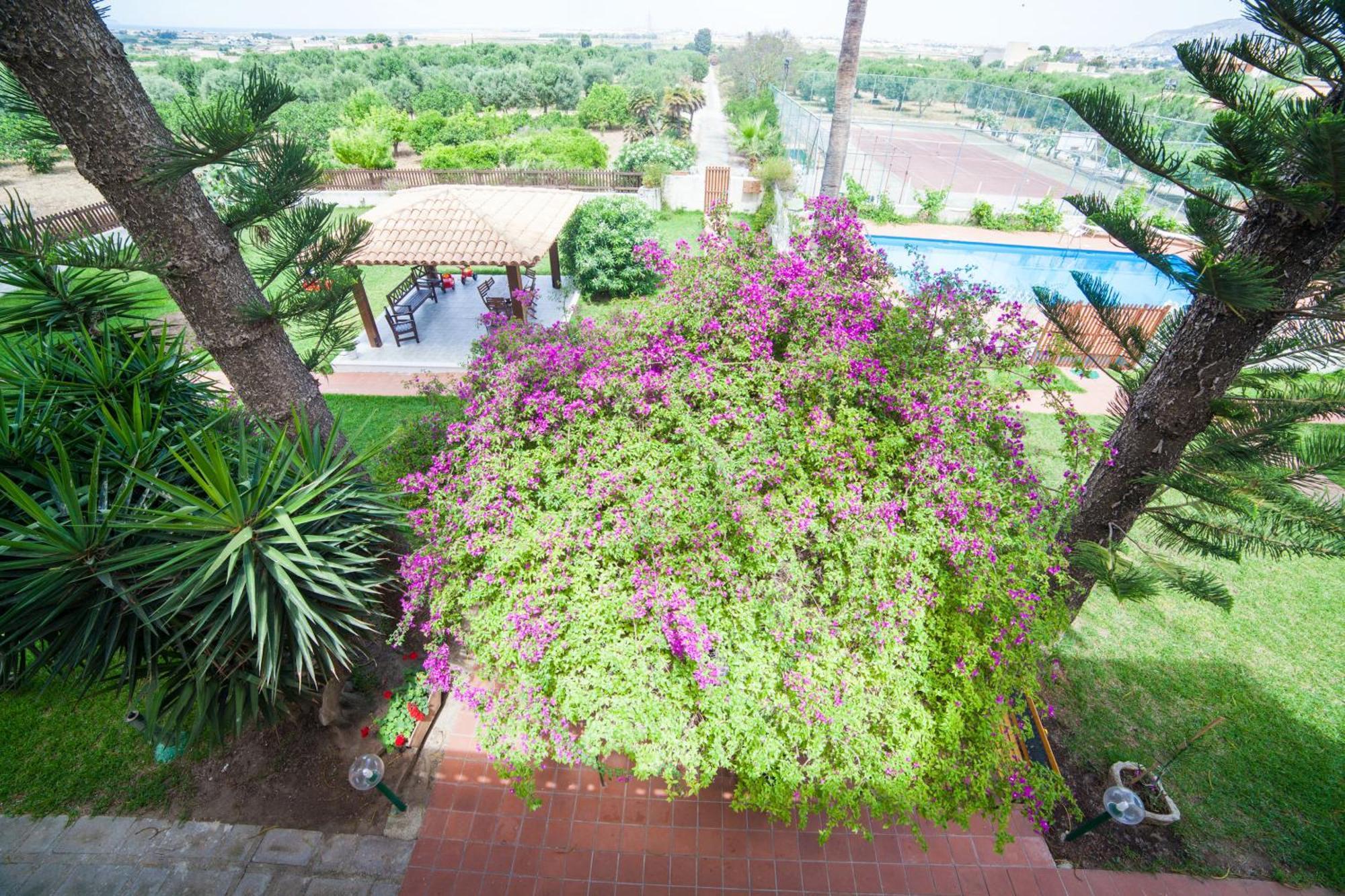 פאצ'קו Villa Amodeo מראה חיצוני תמונה